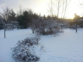 Au Gîte du Cerf Argenté