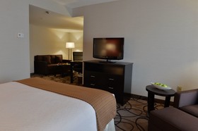 Holiday Inn Montreal Centreville Downtown