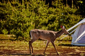 Uniq Domaine Saint Bernard Hôtel