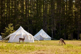 Uniq Domaine Saint Bernard Hôtel