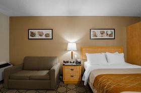 Comfort Inn Prince Albert