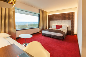 Airport Hotel Basel