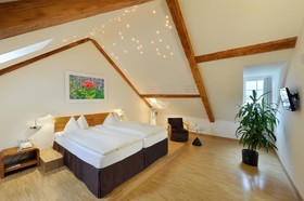 TOP HOTEL ODELYA