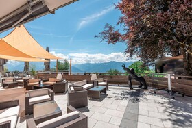VIU Hotel Villars