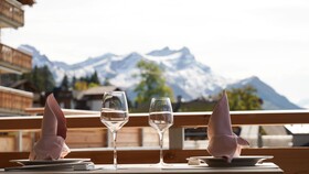 VIU Hotel Villars