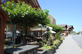 Chalet Adler
