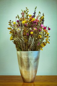 Hotel Alpenruhe-Vintage Design Hotel