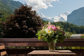 Alpine Inn by Jungfrau Hotel