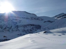 Biohof Salis
