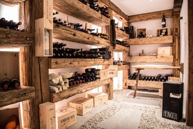 TOP Hotel Sarain Active Mountain Resort Lantsch/Lenz