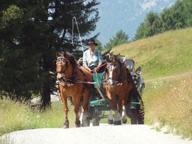 Berghotel Randolins