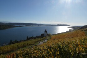 Bed & Breakfast La Petite Thielle