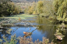 Bed & Breakfast La Petite Thielle