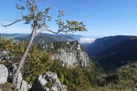 Bed & Breakfast La Petite Thielle