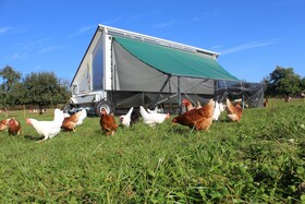 Gasthaus Zum Bauernhof