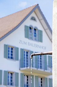 Gasthaus Zum Bauernhof