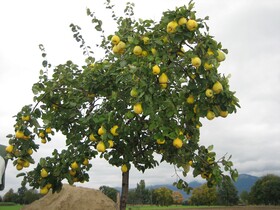 Steigmatt Bauernhof-Erlebnis