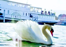 Hotel Cristal [Design]