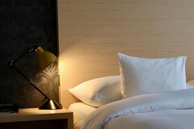 Mon Repos Hotel Geneva