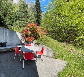 Chalet Contemporain