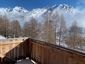 Chalet Birkhahn