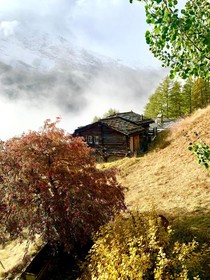 Chalet Birkhahn