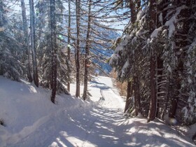 Chalet Talblick
