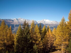 Chalet Talblick