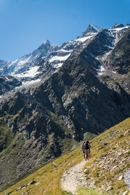Walliserhof Grand-Hotel & Spa