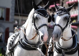 Grand Hotel Zermatterhof