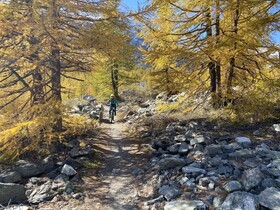 Jägerhof Hotel & Apartements