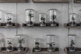 Nomad Lodge & Spa by CERVO