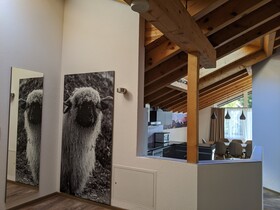 Residence Patricia Zermatt