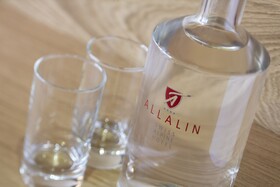 Swiss Alpine Hotel Allalin