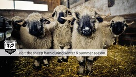 Tradition Julen Hotel