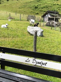 Chalet Edelweiss