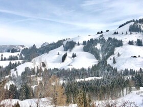 Chalet Edelweiss