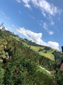 Chalet Edelweiss