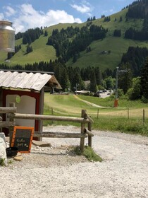 Chalet Edelweiss