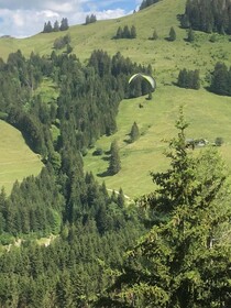Chalet Edelweiss