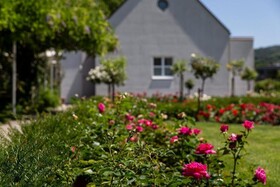 Feldbach See & Park Hotel