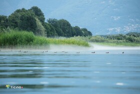 Hotel & Lounge Lago Maggiore