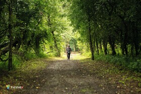 Hotel & Lounge Lago Maggiore