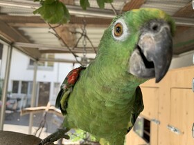 Landgasthof Hasenstrick