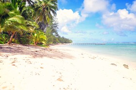 Coral Sands Apartments