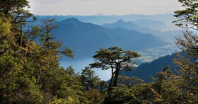 Futangue Hotel & Spa