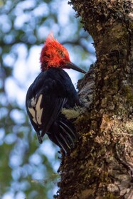 Futangue Hotel & Spa