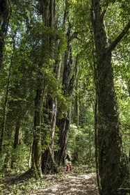 Futangue Hotel & Spa