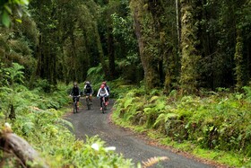 Futangue Hotel & Spa