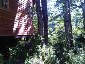 Cabañas Patagonia Mawida